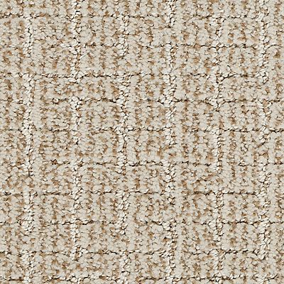 Beige and tan carpet with a grid-like texture.