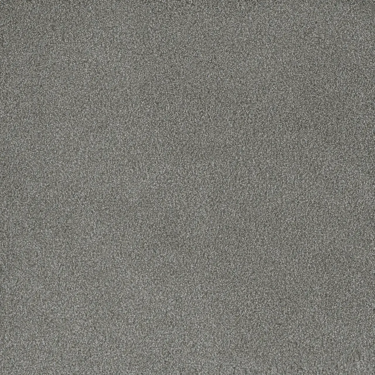 Gray speckled surface.