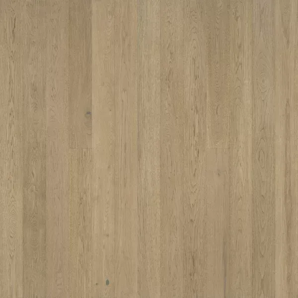 Light-colored, wood-grain flooring. Vertical planks with subtle variations in tone and texture.