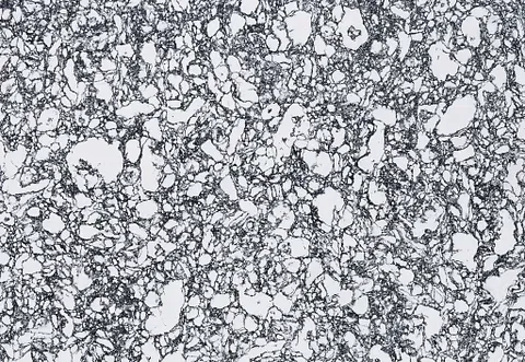 Microscopic view of a crystalline structure with a white, irregular outline and dark, filled cells.