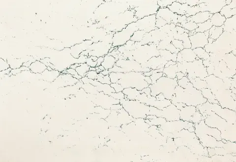 White countertop with blue-gray veining and speckled detail, resembling marble or quartz.