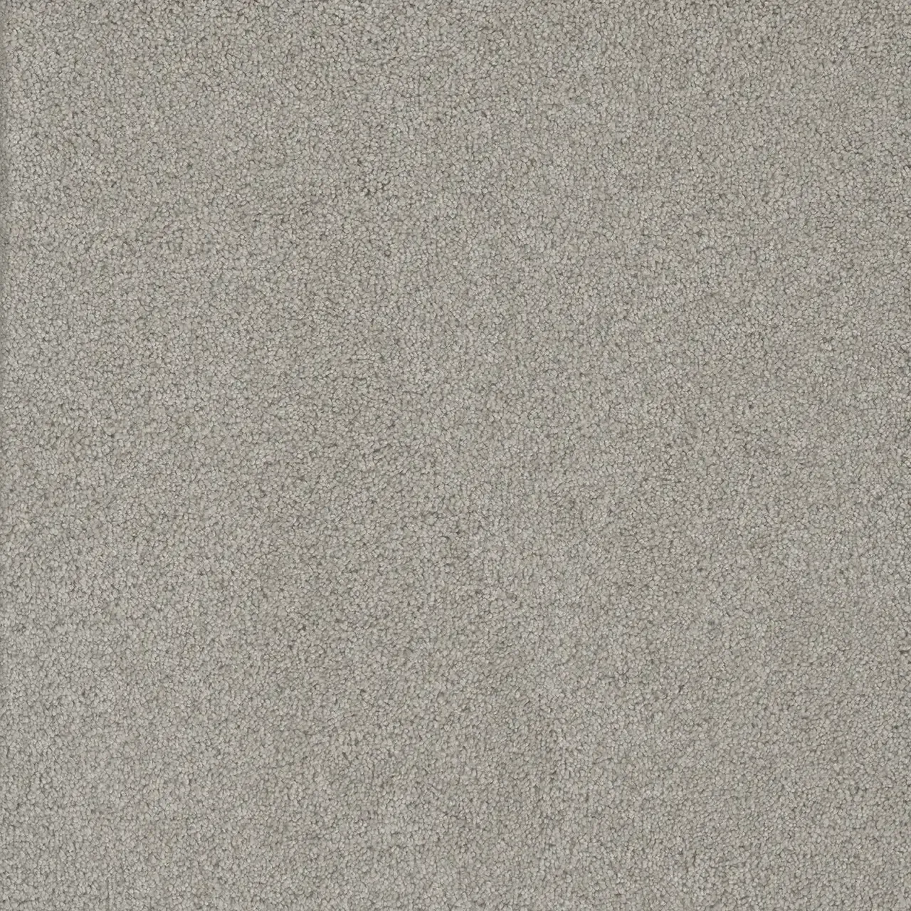 Gray carpet.