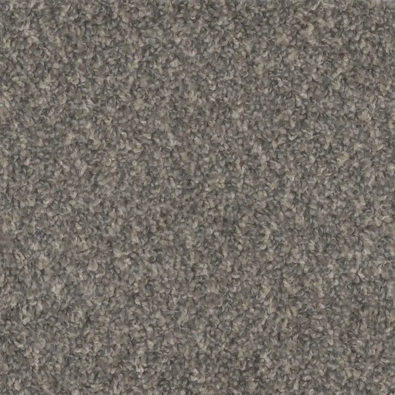 Close-up of gray speckled carpet texture.