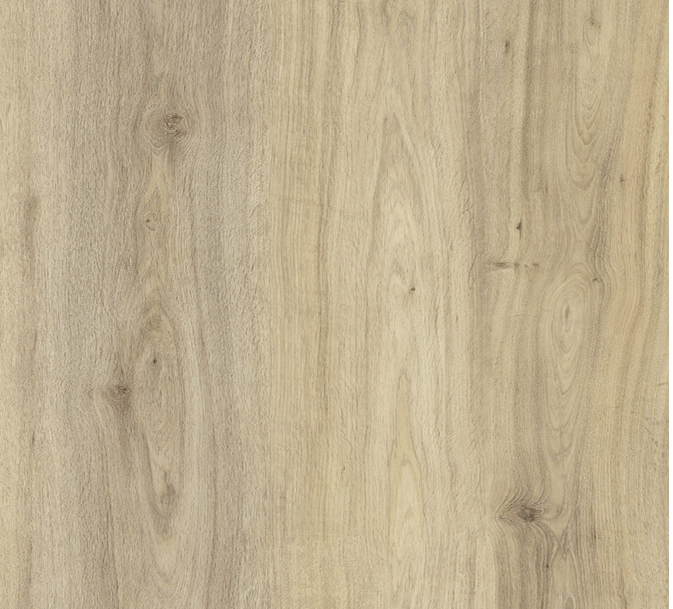 Close-up of light wood grain with knots and varying shades of beige and brown.