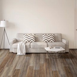 Living room with sofa, throw pillows, coffee table, and floor lamp on wood floor.
