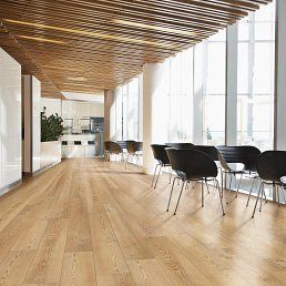 A bright, modern space with wood floors, chairs, and large windows.