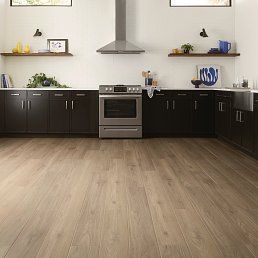 Modern kitchen with dark cabinets, stainless steel appliances, and light wood-look flooring.