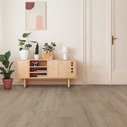 Light wood-toned flooring in a room with a wooden cabinet, plants, artwork, and a white door.