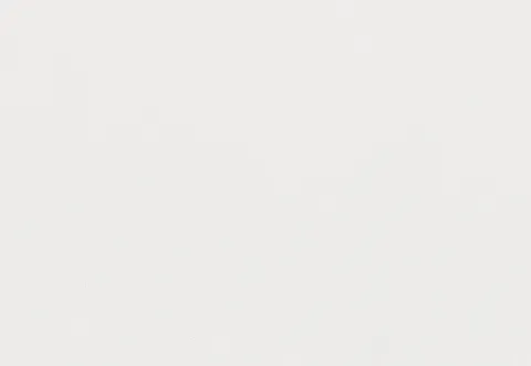 Blank white background.