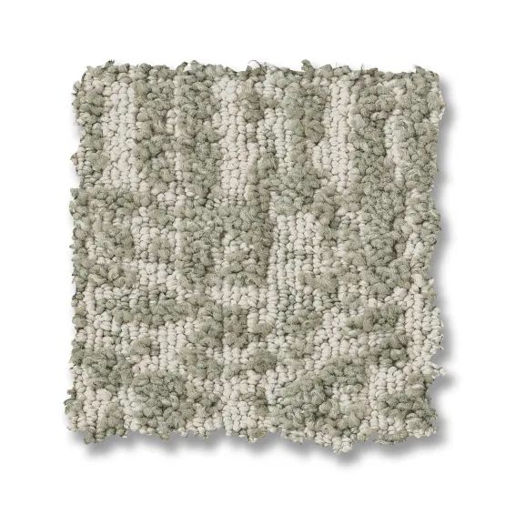Light gray and white textured carpet swatch.