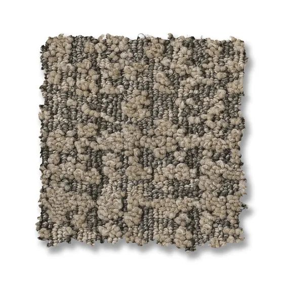 Beige and dark gray textured carpet square.