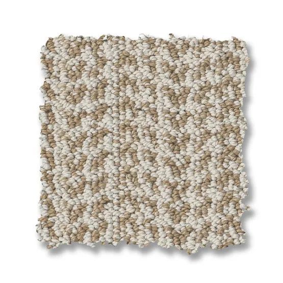 Beige and tan speckled carpet sample with a nubby texture.