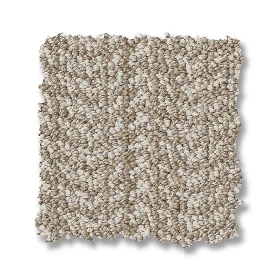 Beige and tan speckled carpet square sample.