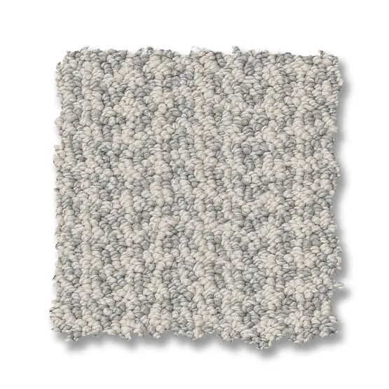 Gray and white speckled loop pile carpet swatch.