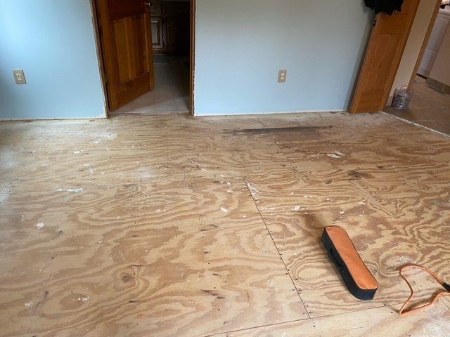 Bare plywood floor in a room with blue walls, leading to a doorway. A tool with an orange handle rests on the floor.