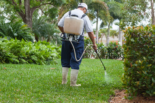 Mosquito Control — Man Fogging to Eliminate Mosquito in Memphis, TN