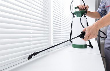 Pest Control — Worker Spraying Insecticide in Memphis, TN Pest Control — Worker Spraying Insecticide in Memphis, TN