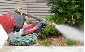 Pest Control Management — Exterminators Outdoors Spraying Pesticide in Memphis, TN