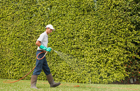 Exterminator — Exterminator  Spraying Pesticide in Memphis, TN