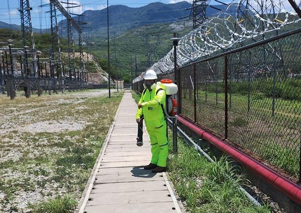 CONTROL DE PLAGAS URBANAS