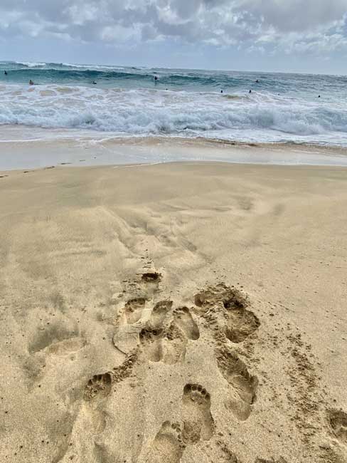 Footprints in the sand