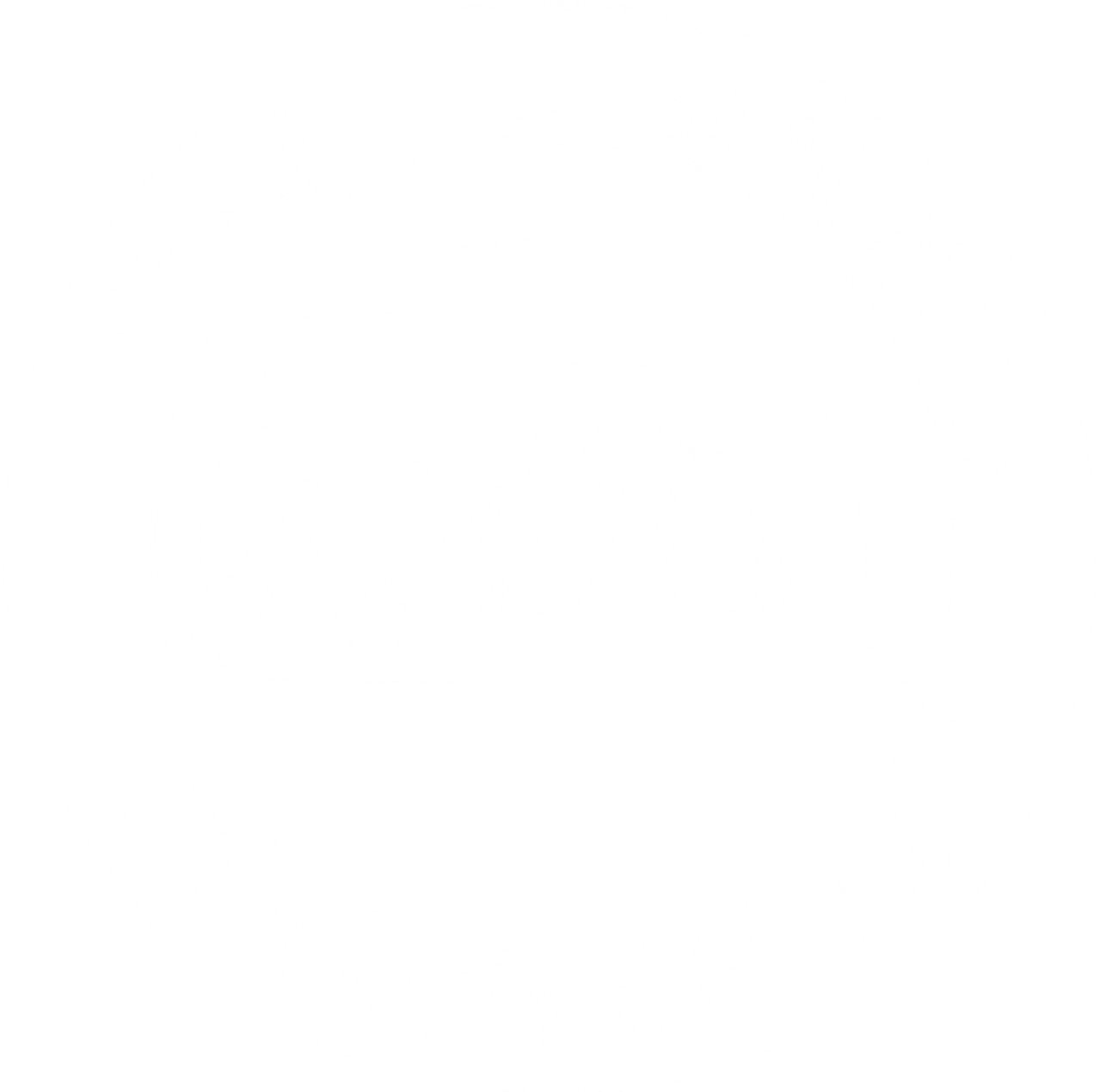 Logo of NGC, with mountains, sun, and establishment year 2022, enclosed in a white hexagon.