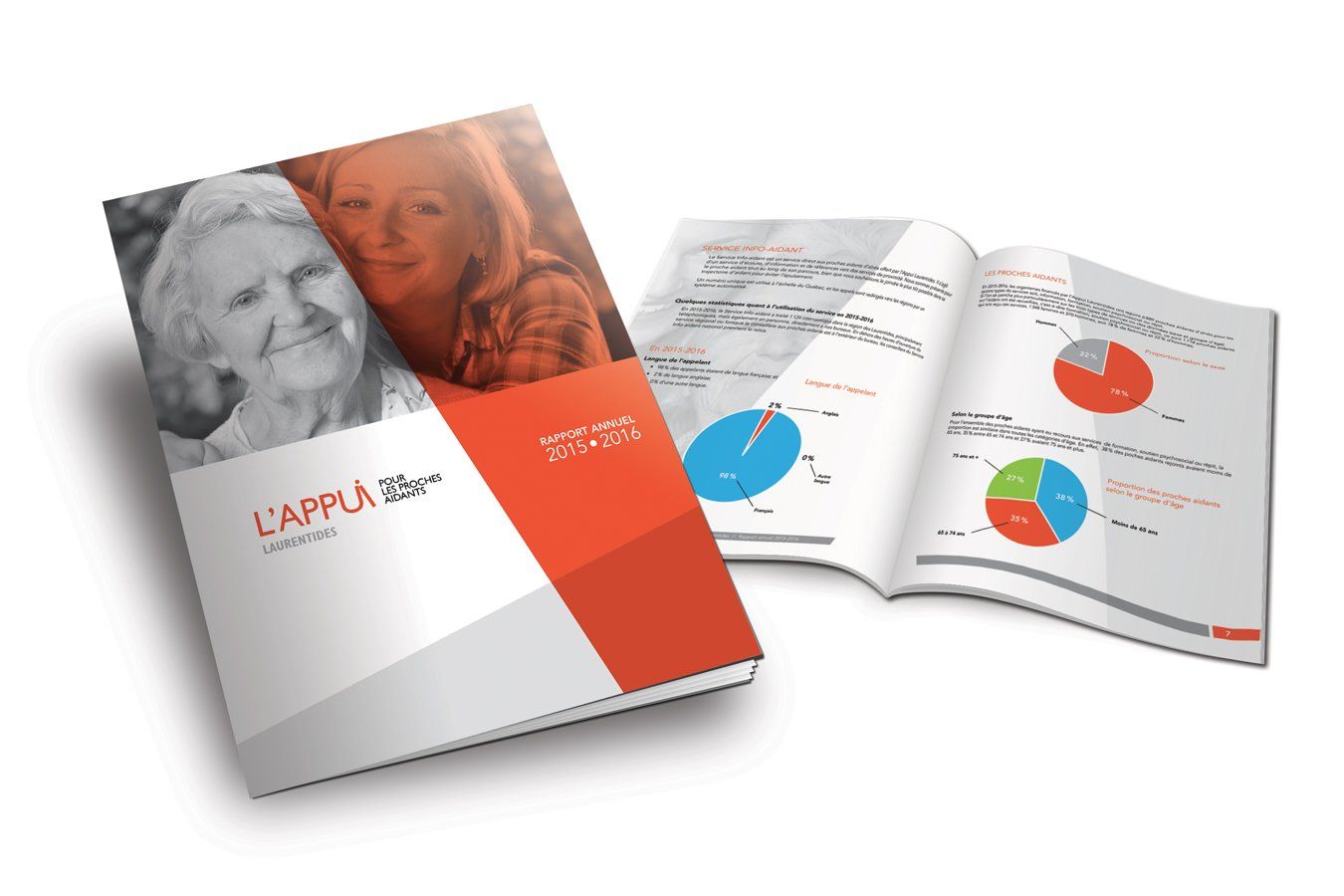 Rémi Lacombe ton graphiste Sherbrooke - Rapport annuel