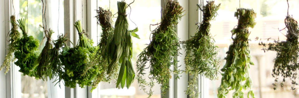 Drying Herbs