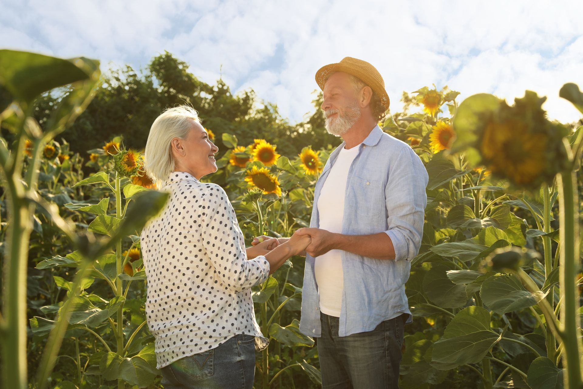 An elderly couple is holding hands in a field of sunflowers.