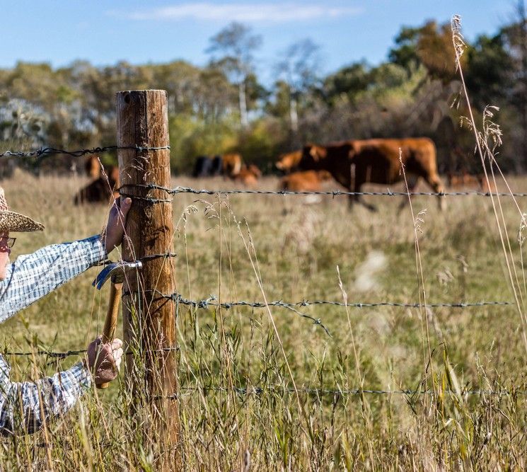 A Person Hammers a Staple Into a Wooden Fence Post in a Grassy Pasture — A Betta Fence 'N' Yard In Lake Cathie, NSW