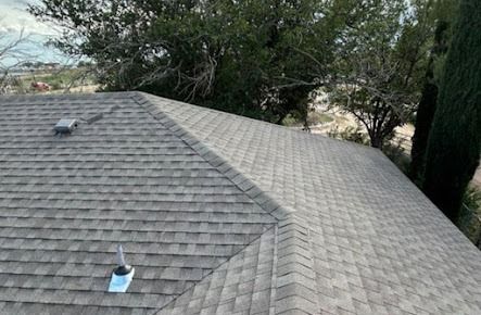 Gray asphalt shingle roof on a house, angled view, tree in background, overcast.