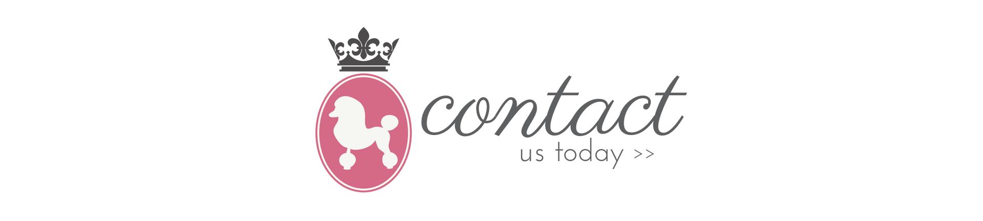 Contact us today logo with pink circular emblem and gray script text on a white background