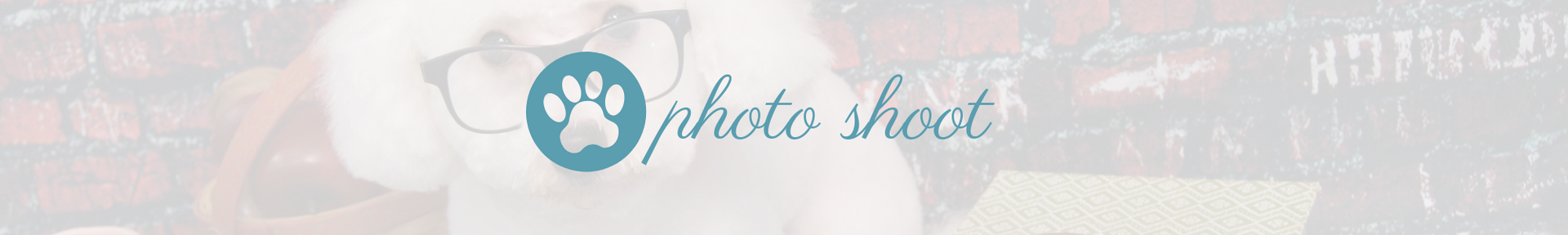 Logo with a blue paw print and the words “photo shoot” on a light, blurred background