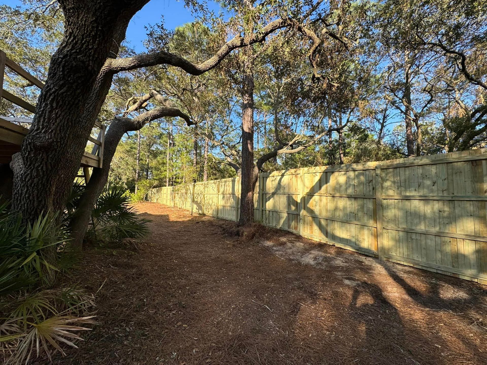 A wooden fence surrounds a dirt path surrounded by trees.