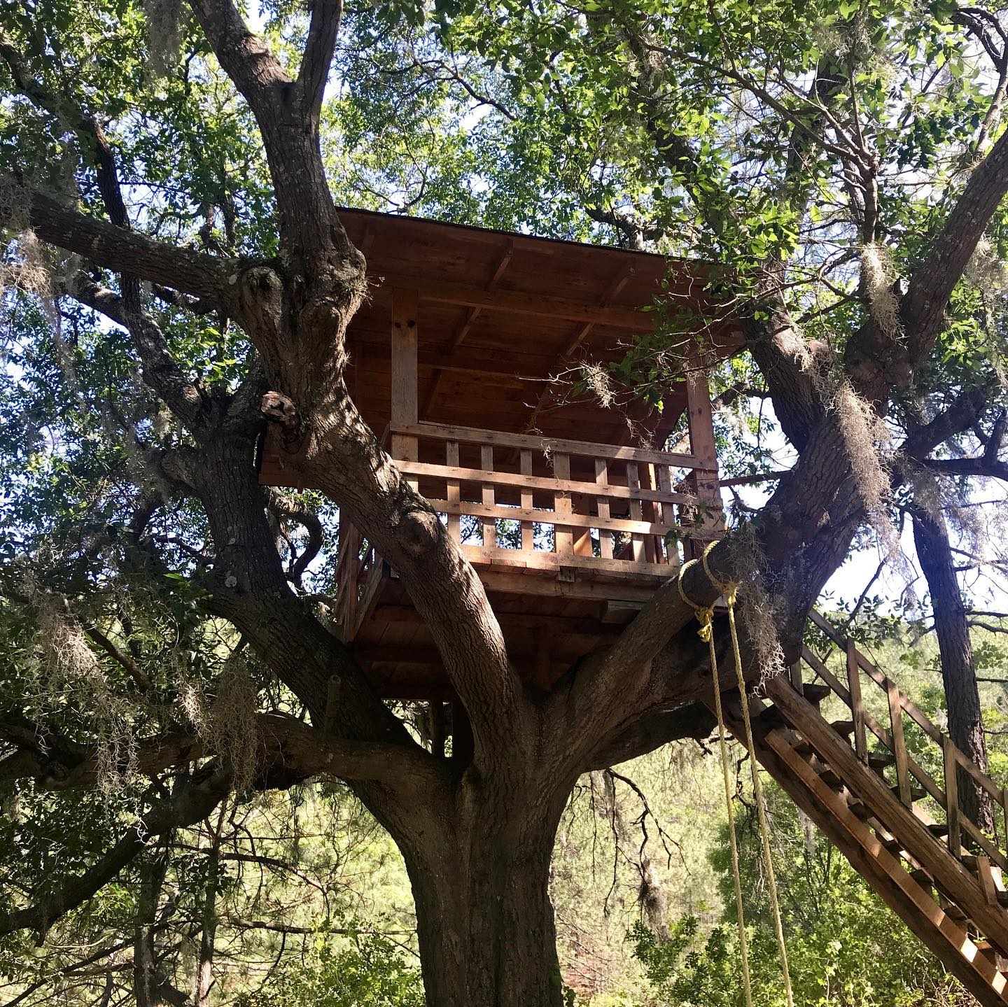 Cabañas en renta cienega de gonzalez municipio de santiago rincon del lobo.