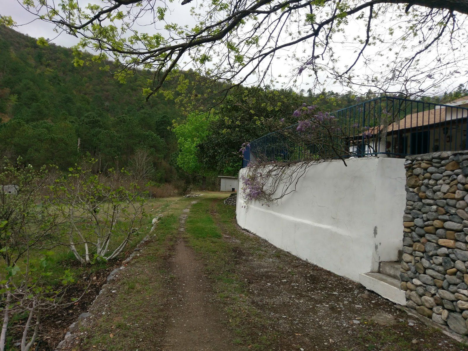 Cabañas en renta cienega de gonzalez municipio de santiago rincon del lobo.
