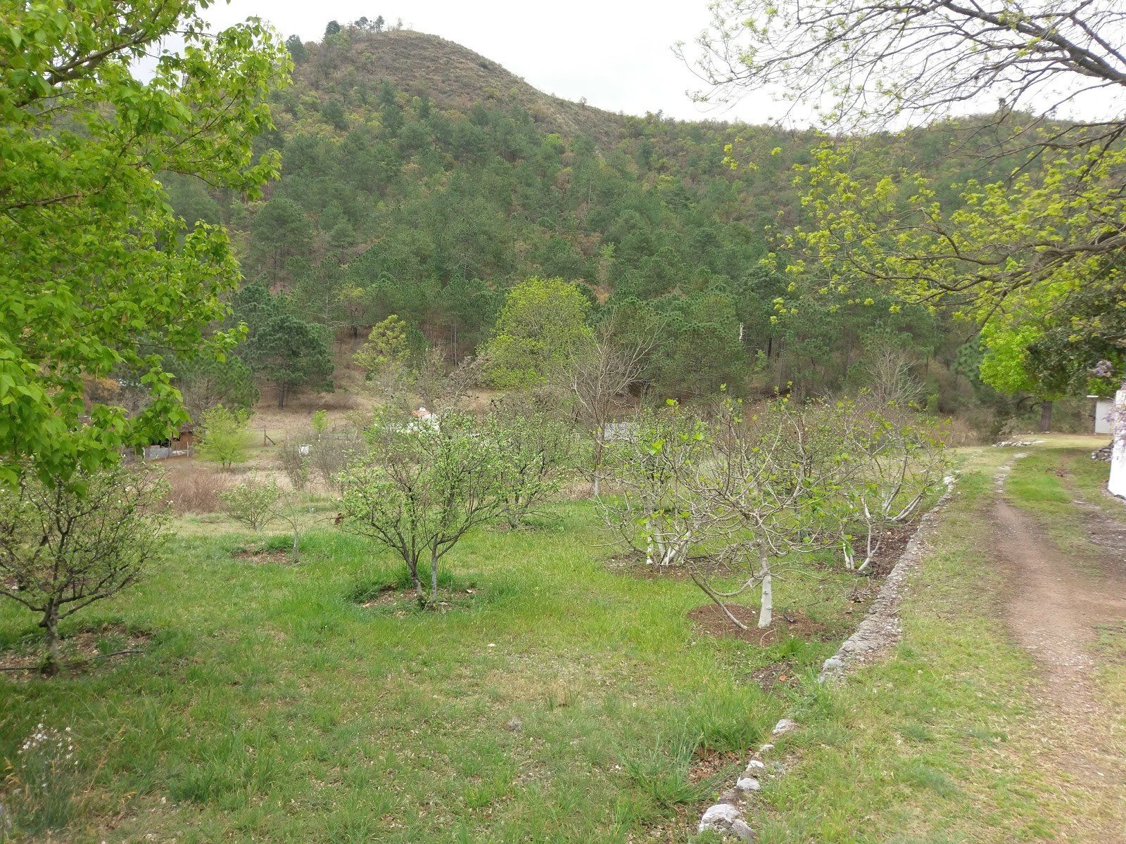 Cabañas en renta cienega de gonzalez municipio de santiago rincon del lobo.