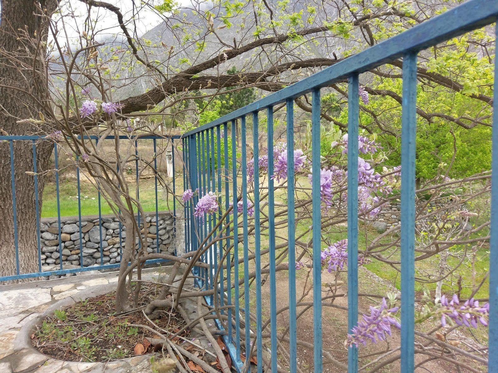 Cabañas en renta cienega de gonzalez municipio de santiago rincon del lobo.
