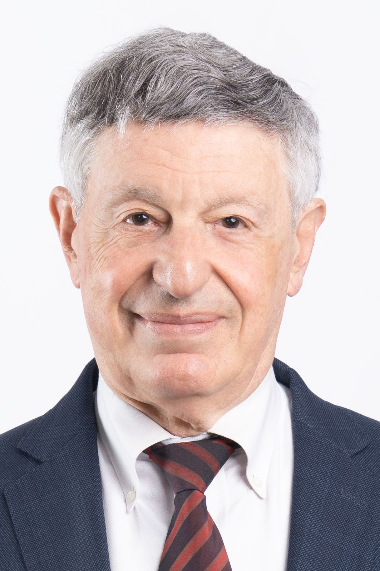 Attorney Robert M. Gippin Headshot