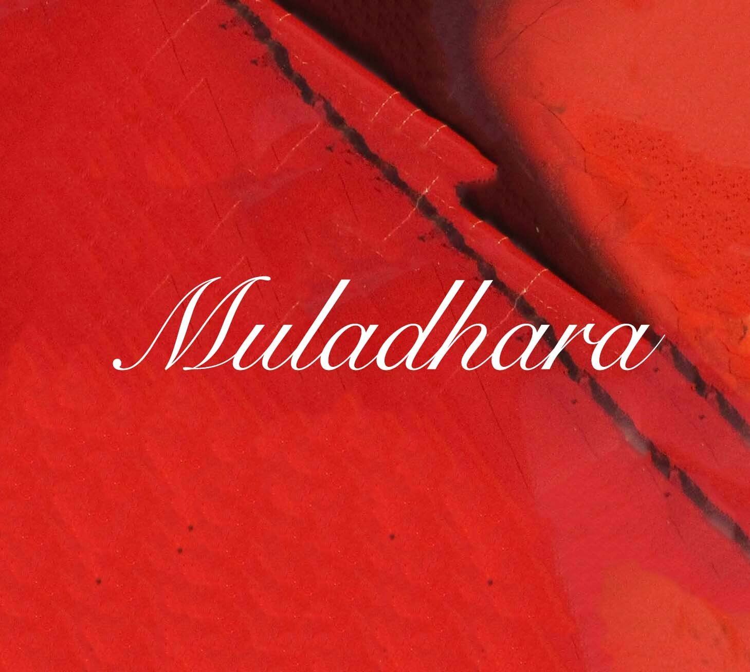 Muladhara is het eerste chakra, ook wel wortel genoemd en bevind zich tussen je onderbuik en je stui