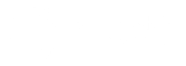 Logo for Blue Sky Custom Living: house inside a hand in a blue circle, text