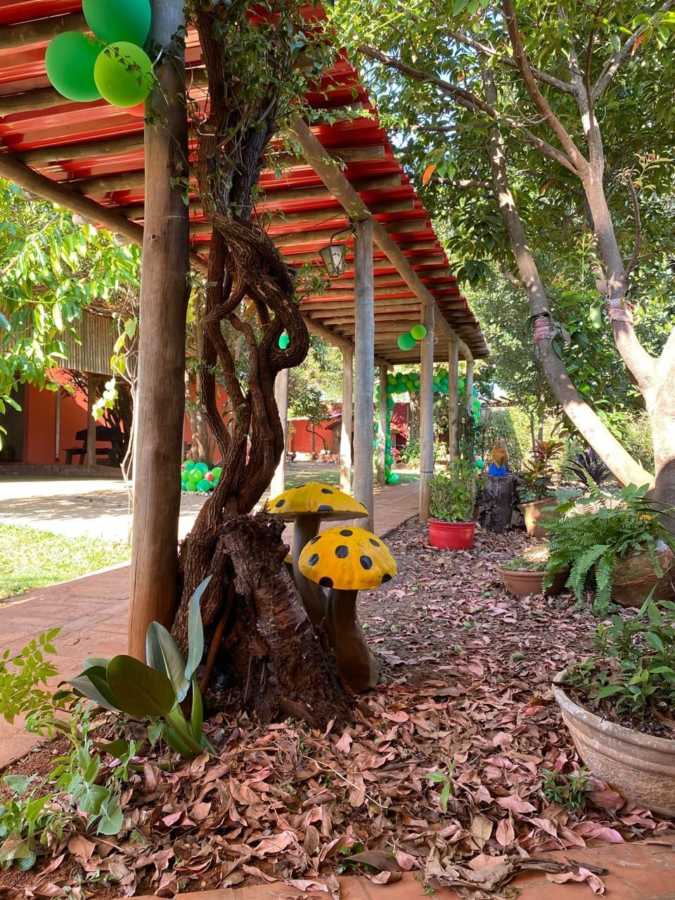 Espaço Viva com Ciência | Eventos e Alimentos Veganos