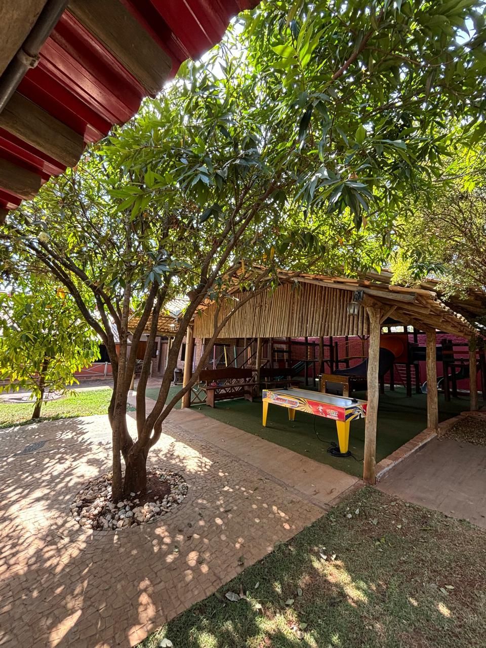 Espaço Viva com Ciência | Eventos e Alimentos Veganos