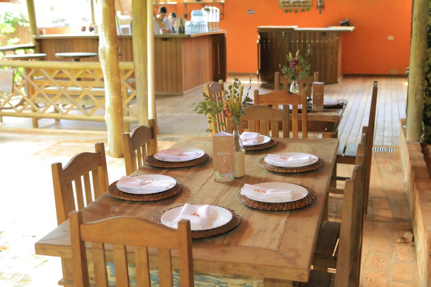 Espaço Viva com Ciência | Eventos e Alimentos Veganos