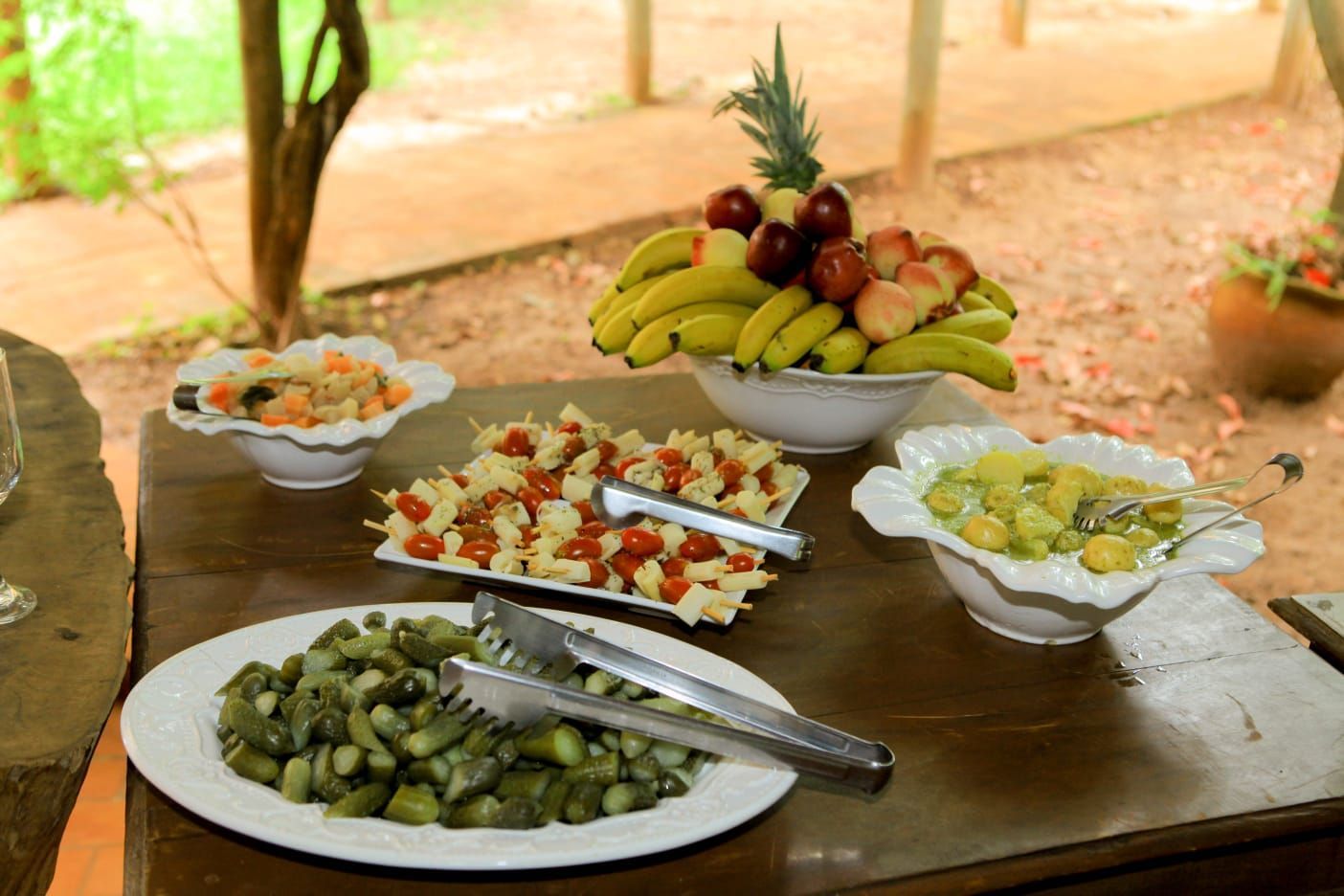 Espaço Viva com Ciência | Eventos e Alimentos Veganos