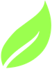 A green leaf with a white stripe on a white background.