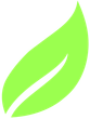 A green leaf with a white stripe on a white background.