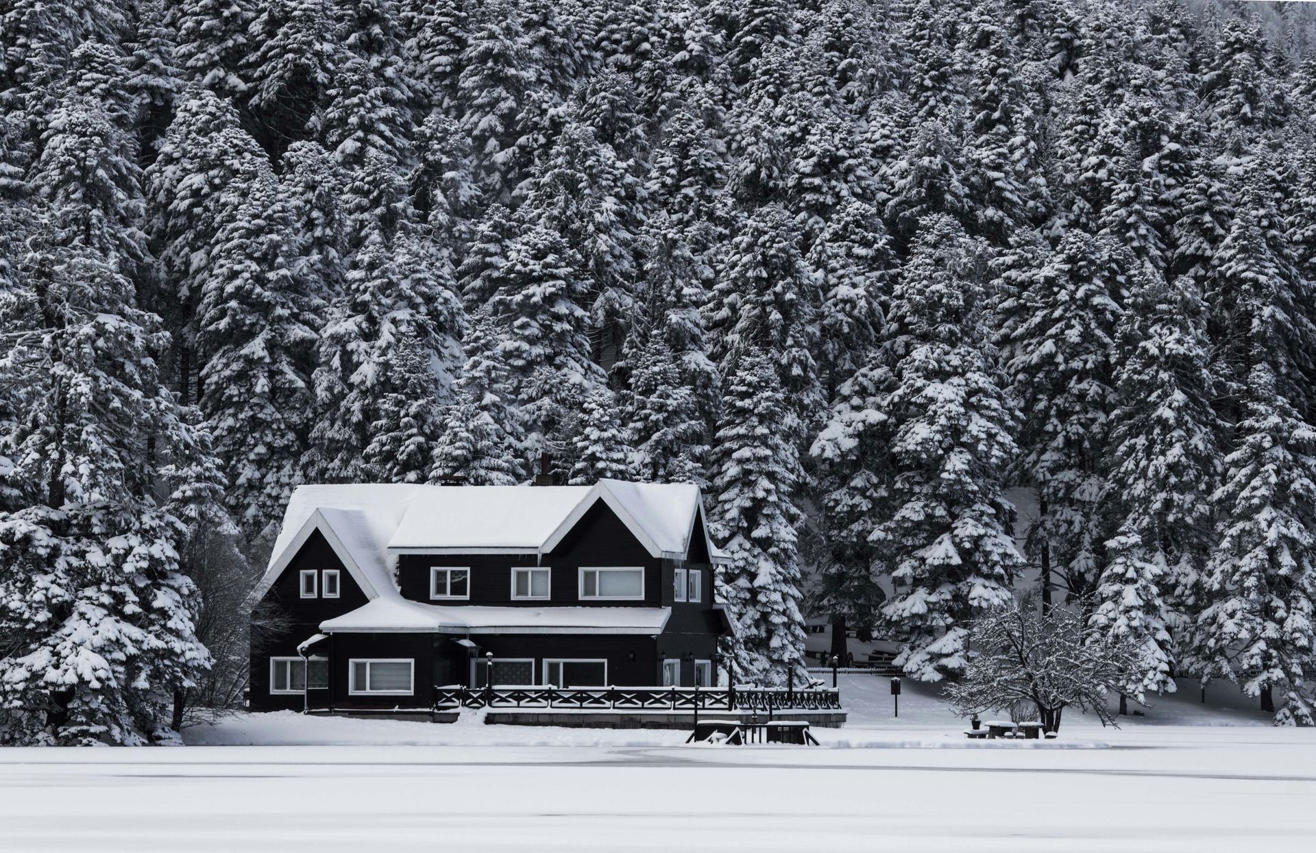 Snow-covered house by a lake, surrounded by snow-laden pine trees. Winter scene.