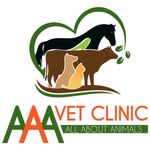 AAA Vet Clinic: Your Local Vets in Mount Isa
