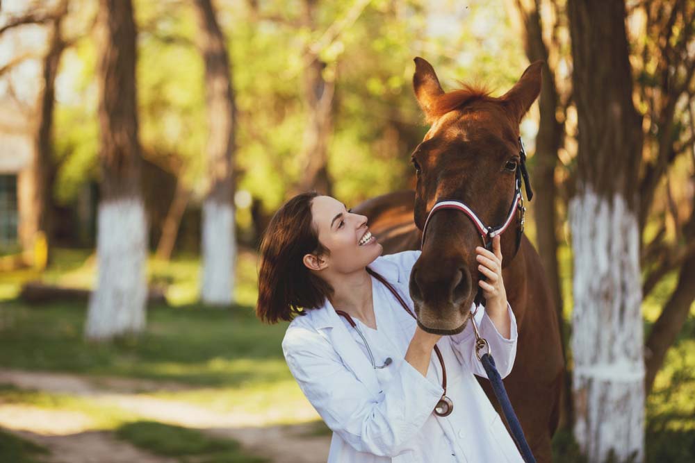Veterinarian Enjoying with A Horse Outdoors at Ranch — Veterinary Services in Mount Isa, QLD